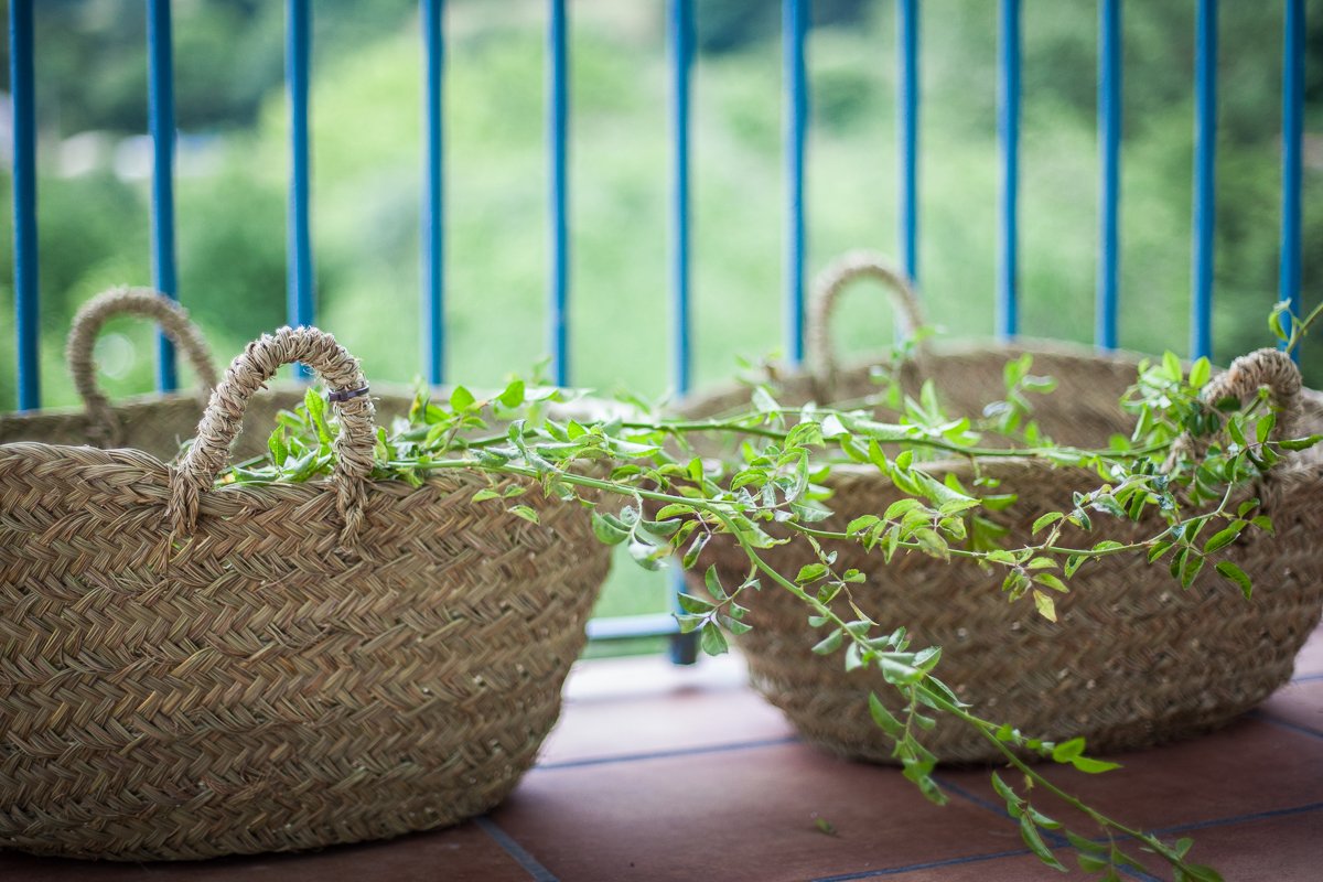 Detalle rústico de plantas naturales en el balcón de la Posada