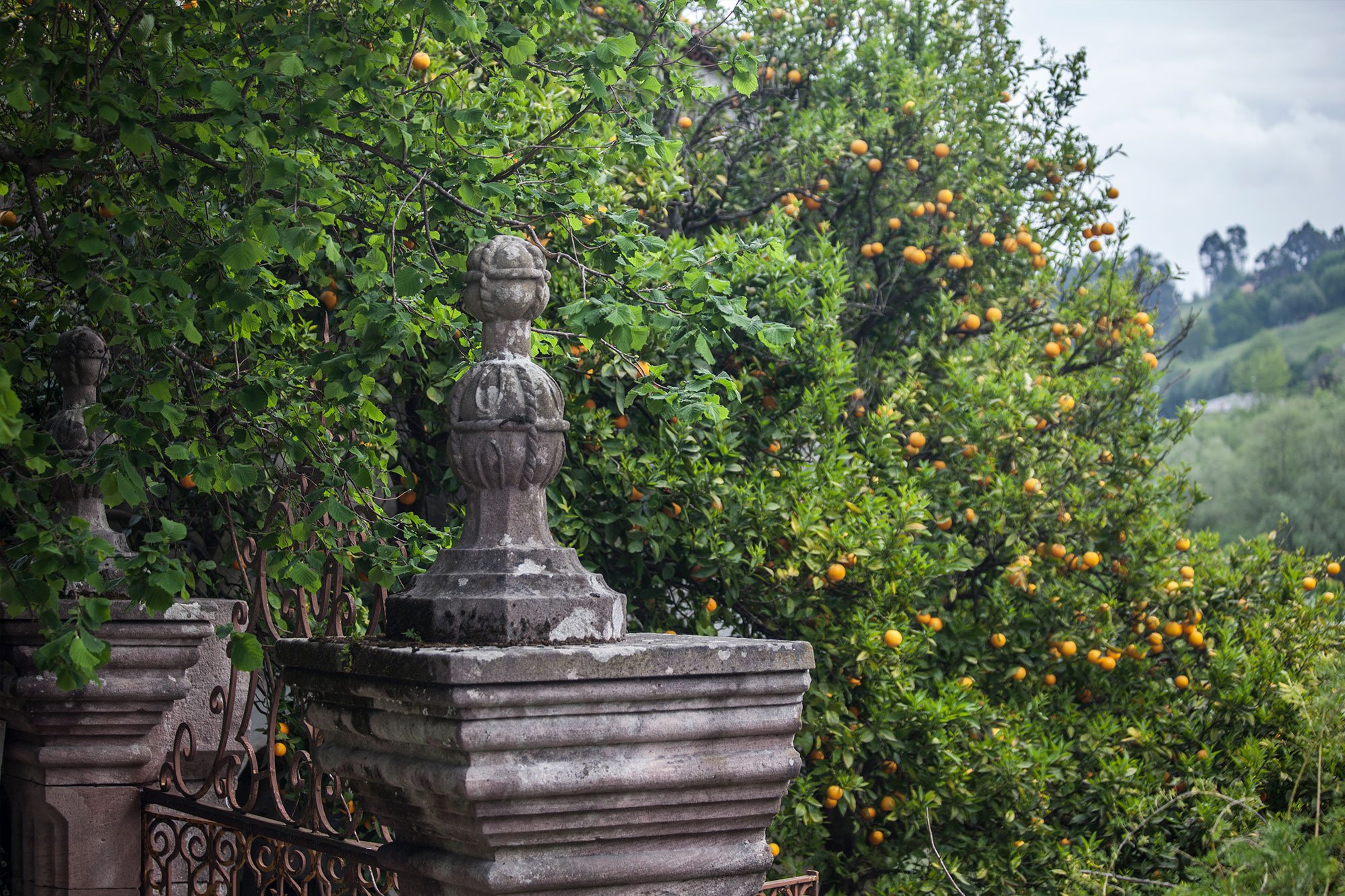 Jardines con encanto llenos de limoneros y frutales